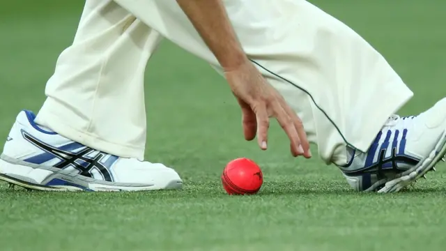 ক্রিকেট, গোলাপী বল, বাংলাদেশ, ভারত