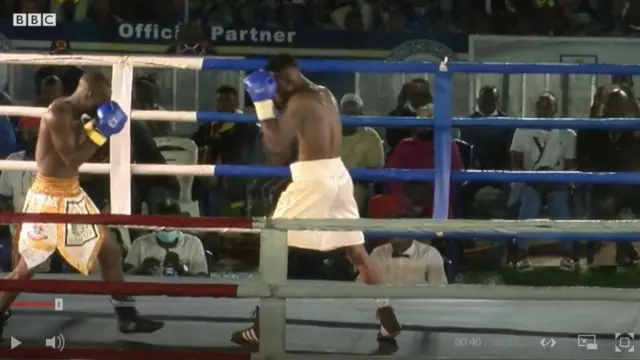 Ridwan-Scorpion boxer