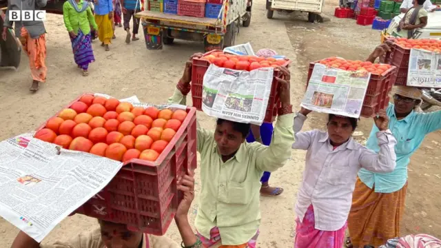 మదనపల్లె మార్కెట్‌లో టమాటా