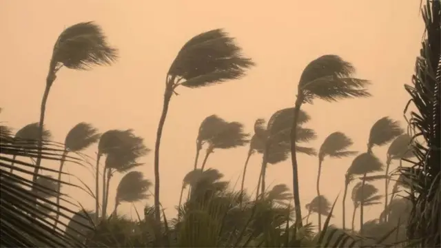 વાવાઝોડું