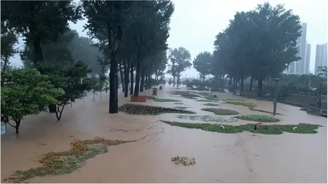 사흘째 폭우가 쏟아진 15일 오후 충북 증평군 증평읍 보강천 일대 공원이 물에 잠겨 있다