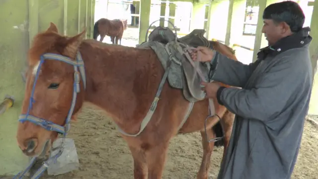 गुलज़ार अहमद बट्ट