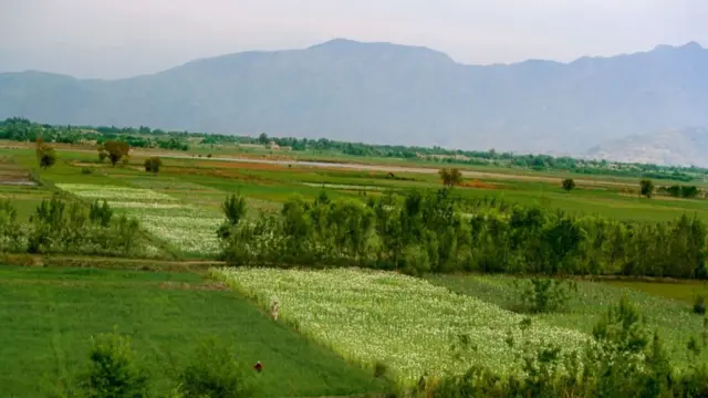 طبیعت زییای ننگرهار که به ولایت همیشه بهار مشهور است، یکی از محل‌های زیبا برای گردشگران است