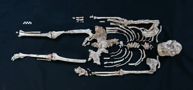 Squelette de Little Foot