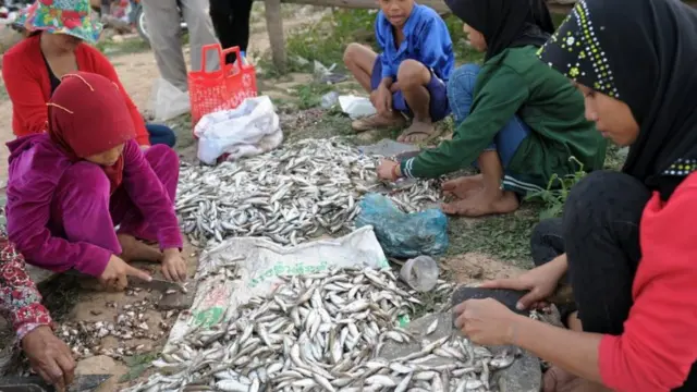 ikan prahok