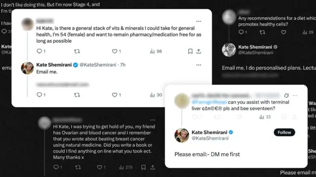 ਕੇਟ ਸ਼ੇਮੀਰਾਨੀ