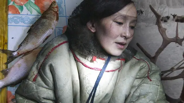 Иванна, рыба, олени.