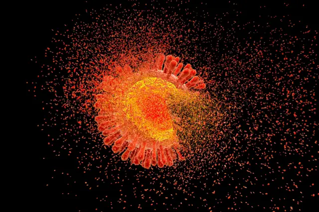 HIV'in imhasını gösteren bir illüstraasyon 