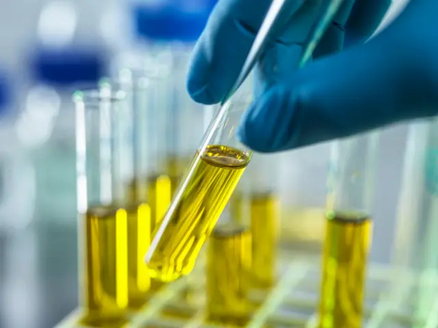 प्रतीकात्मक तस्वीर