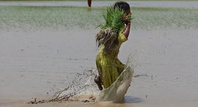 ਸੰਕੇਤਕ ਤਸਵੀਰ