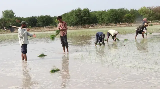 ਪਿੰਡ ਖੂਹੀ ਖੇੜਾ