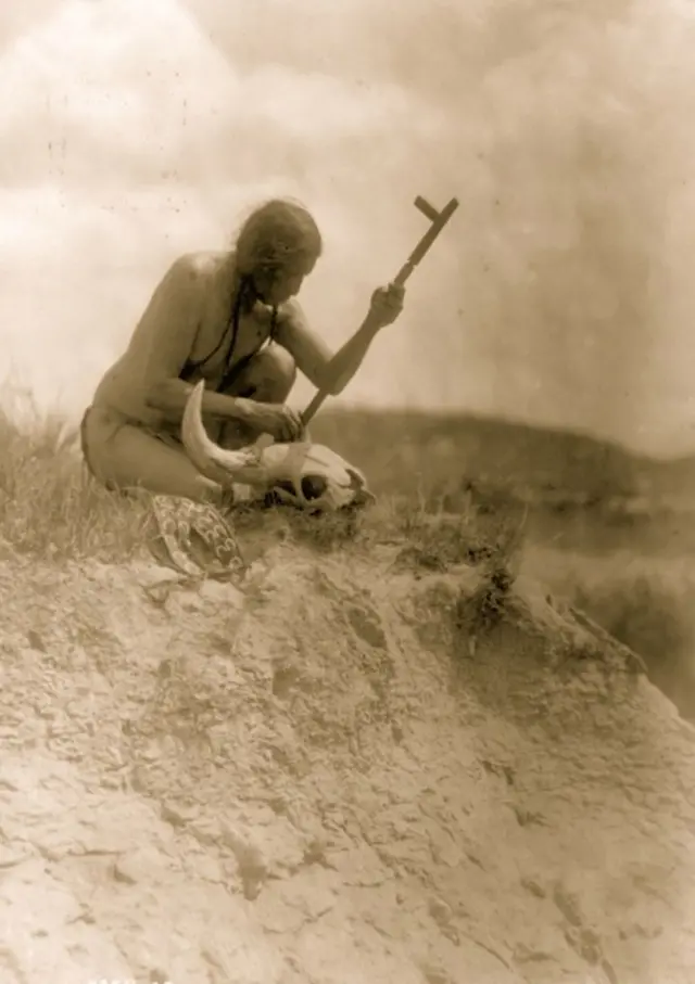 ભેંસની ખોપડીઓનો પહાડ, હાડપિંજર, બાઇસન, અમેરિકા, બીબીસી ગુજરાતી