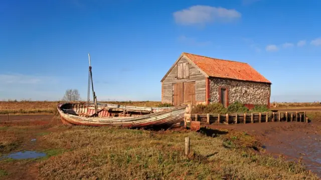 تعد المستنقعات الملحية موائل غنية بالتنوع البيولوجي ويمكن أن تحتوي على مخازن كبيرة من الكربون