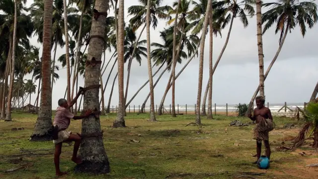 Nwoke na-arị nkwụ