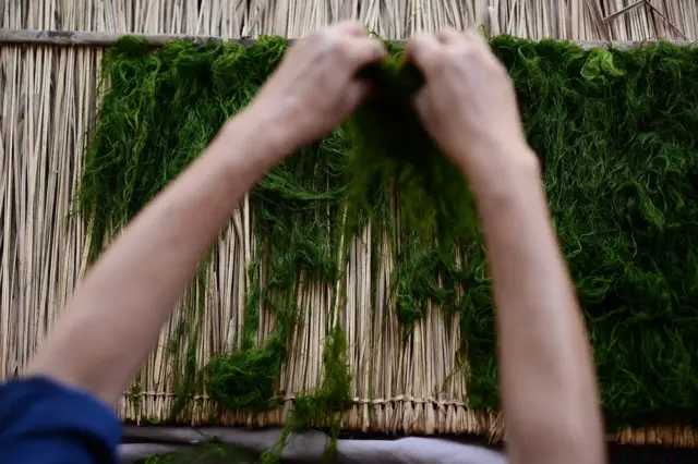 แม่น้ำโขง, กรอบความร่วมมือการประชุมแม่น้ำล้านช้าง-โขง, คณะกรรมาธิการลุ่มแม่น้ำโขง, MRC, หวัง อี้, กระทรวงการต่างประเทศจีน, ไก, สาหร่ายน้ำจืด, เชียงของ, เชียงราย, ผลกระทบ, เขื่อน, มณฑลยูนนาน, แม่น้ำล้านช้าง, สำนักเลาขาธิการความร่วมมือแม่น้ำล้านช้าง-โขง