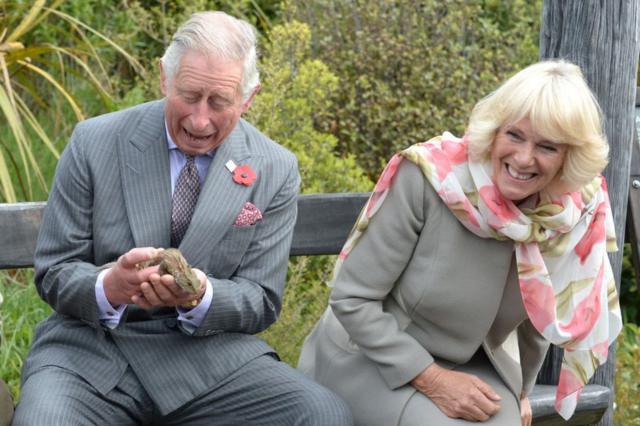 Rei Charles e a rainha consorte Camilla