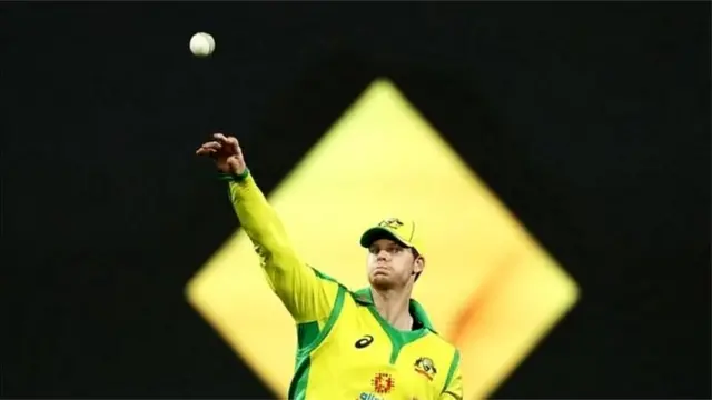 क्रिकेट