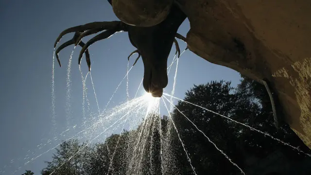 Un ciervo con agua saliéndole por las puntas de sus cuernos y nariz