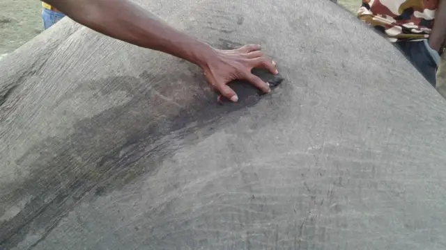 තිලක් ඇතා