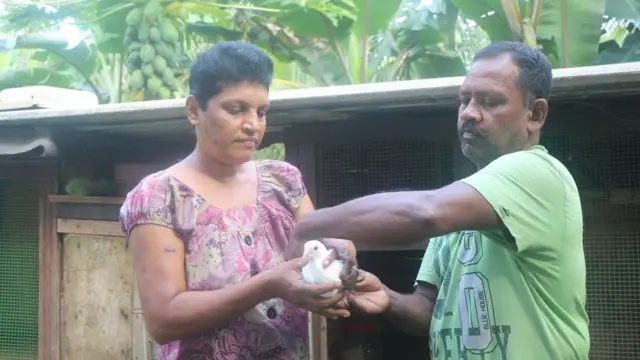 ශ්‍රී ලංකාවේ පරවි ගැටුම්