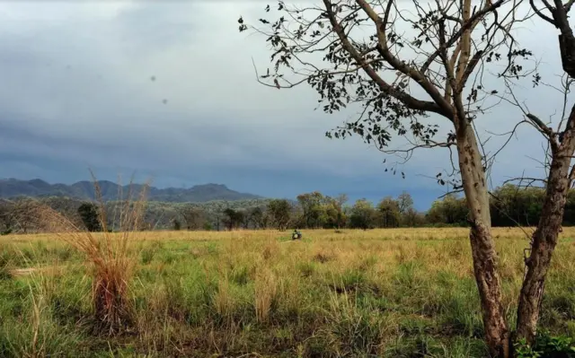 जिम कॉर्बेट टाइगर रिजर्व