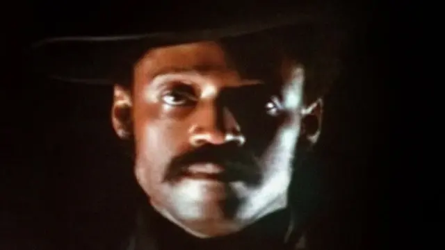 Legendarni bleksploatacijski film Melvina Van Piblsa „Pesma Svit Svitbeka" predstavio je polciiju kao silu bele suprematističke moći