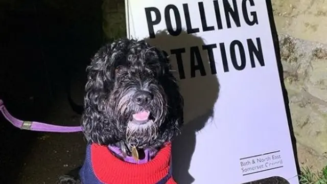 Molly is out bright and early in Bath