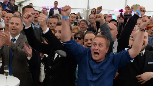 AfD destekçileri seçim sonuçlarına sevinirken