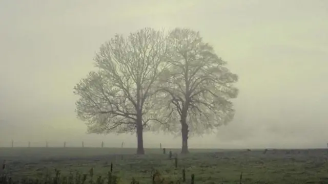 Mazingira katika picha