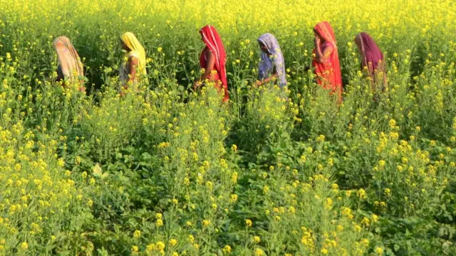 किसान आंदोलन: कृषि क़ानूनों पर जारी विरोध में कहाँ हैं भूमिहीन महिला किसान?