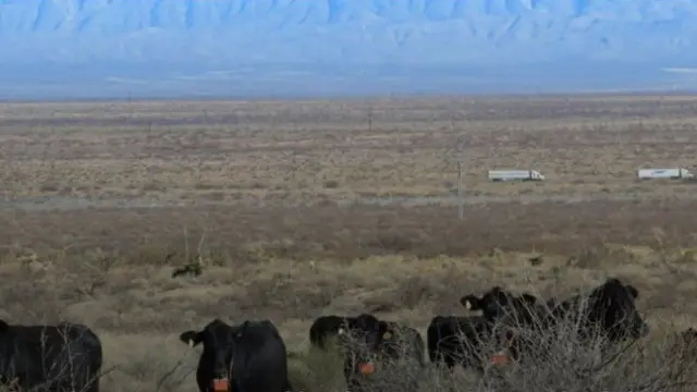 لدى مربي الماشية مساحات شاسعة من الأراضي