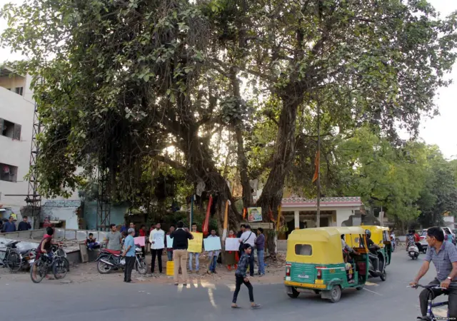 अहमदाबाद में बरगद के एक पेड़ को कटने से बचाने के लिए आम नागरिक नगर निगम के ख़िलाफ़ प्रदर्शन करते हुए