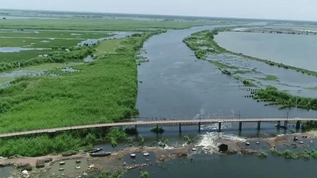 కొల్లేరు సరస్సు, పక్షులు