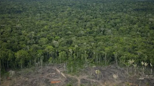 Amazônia