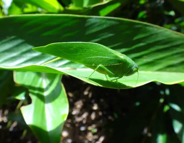 Foto de Clodoaldo Costa