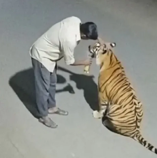 ਏਆਈ ਵੀਡੀਓ