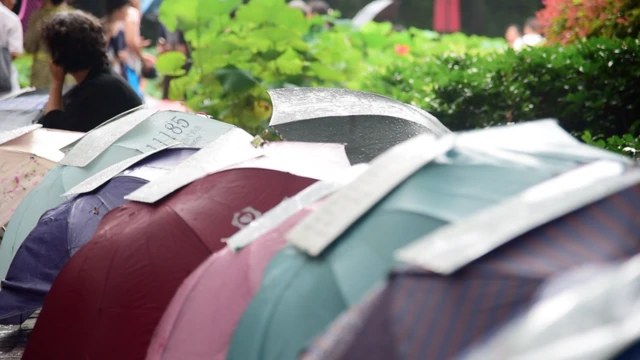 शादी में परिशानियों के लिए कई बार सरकार की वन चाइल्ड नीति को ज़िम्मेदार ठहराया जाता है.