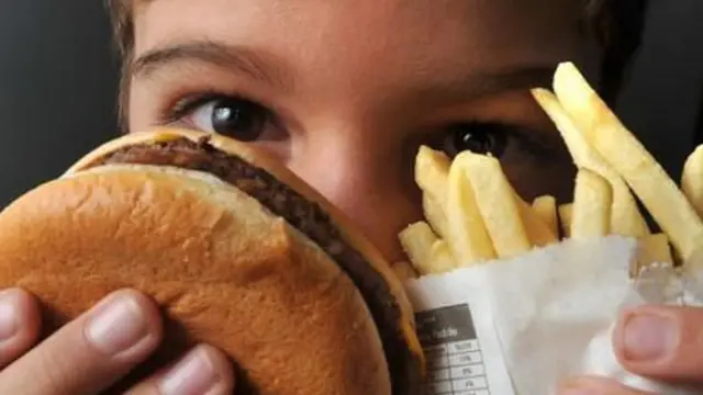 Foto mostra menino segurando um hambúrguer e um pacoteonabet powder 50gmbatatas fritas