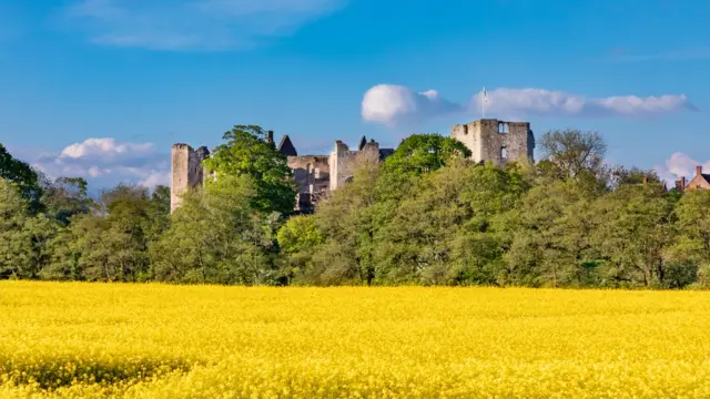 Рапсовое поле и замок Раглан
