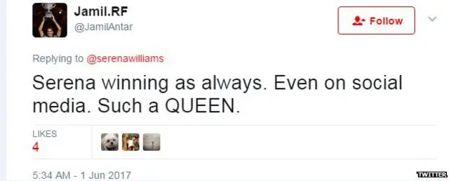 सरीना विलियम्स, वीनस विलियम्स, टेनिस, बच्चा