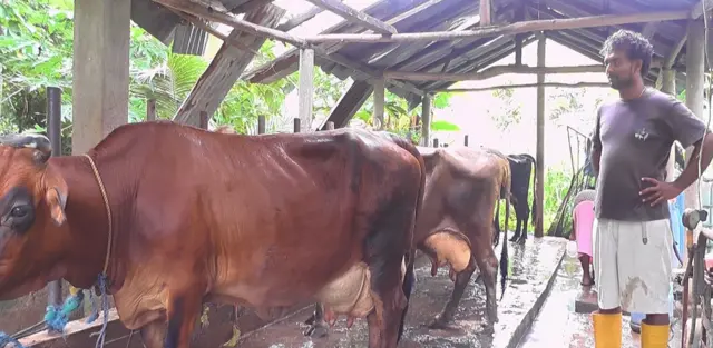 ඉෂාන් නිමන්ත