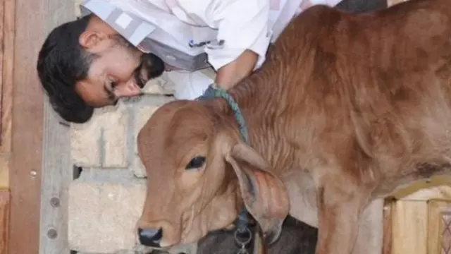 बालू भाई