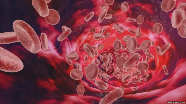 लाल रक्त कोशिकाएं