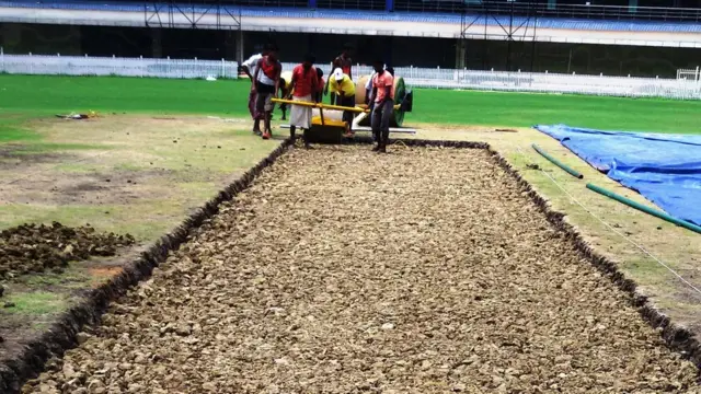 क्रिकेट पिच