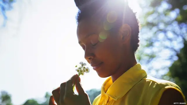 गंध का अनुभव