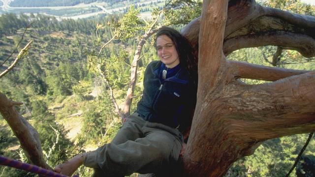 Julia em cima da sequoia com panorama atrás