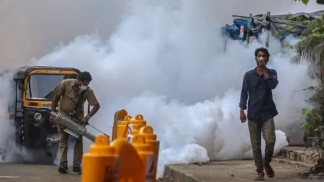 బ్లాక్ ఫంగస్ మొక్కలు, కుళ్లిన పదార్ధాలతోపాటు ముక్కులోని శ్లేష్మంలో కూడా వృద్ధి చెందుతుంది.