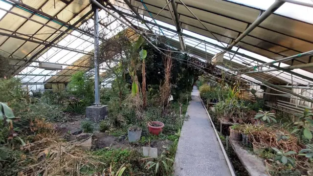 ...ва бугунгиси.