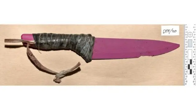 Dao dài 30cm được dùng trong vụ tấn công.