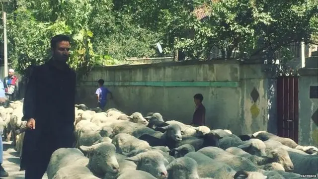 jatinder singh's village